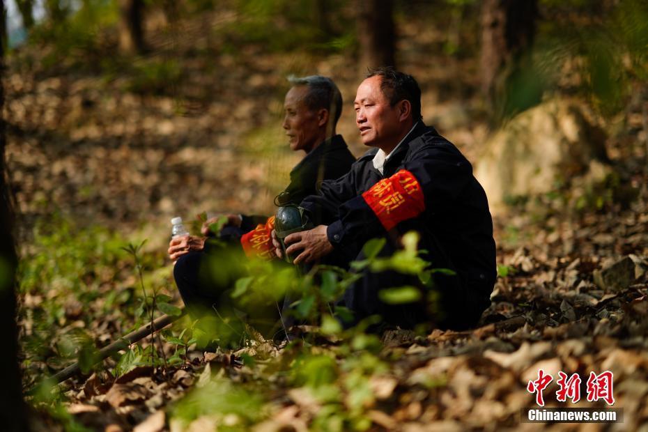 与树为伴几十载 贵州望谟大山里的护林员