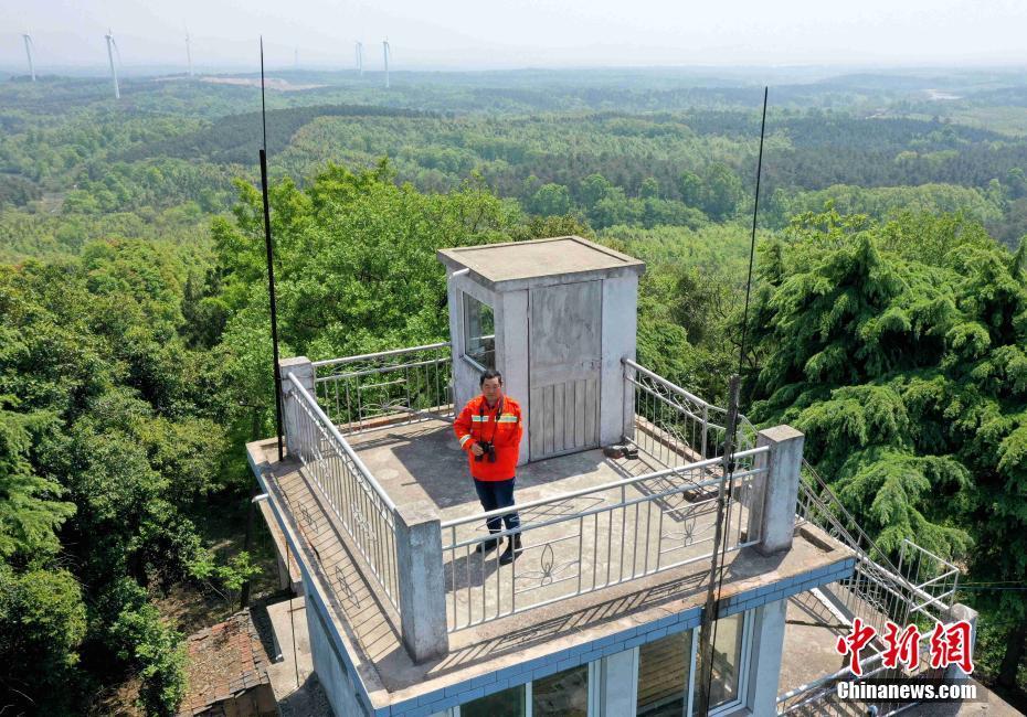 独臂护林员坚守深山20年